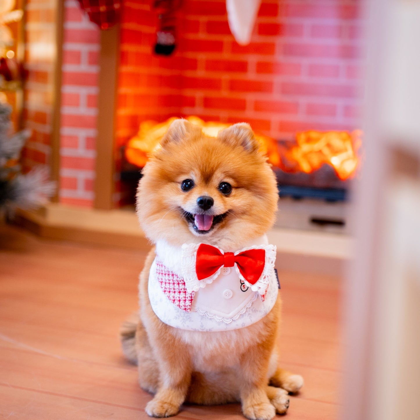 Nancy | Pet Bib