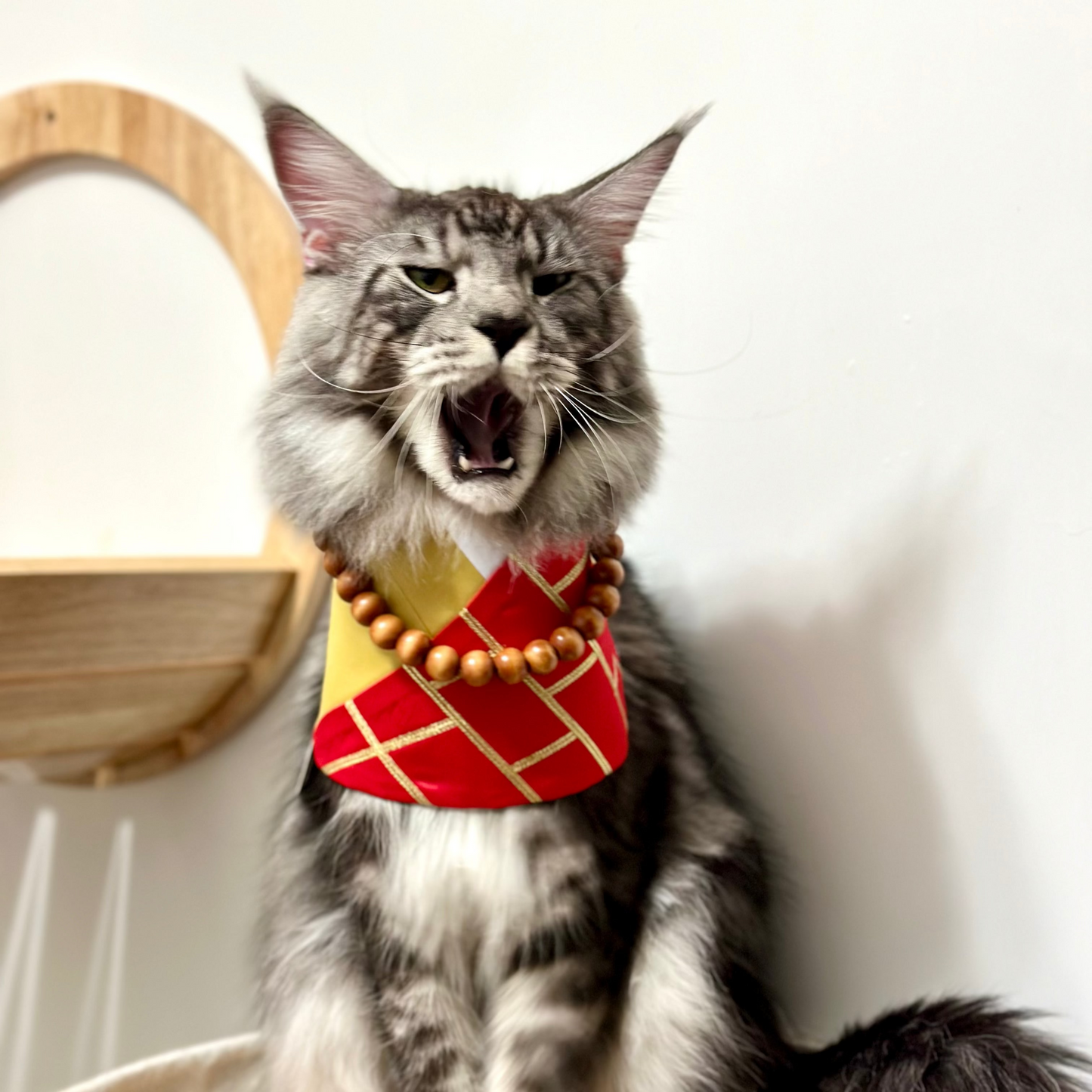 Abbot | Pet Bib