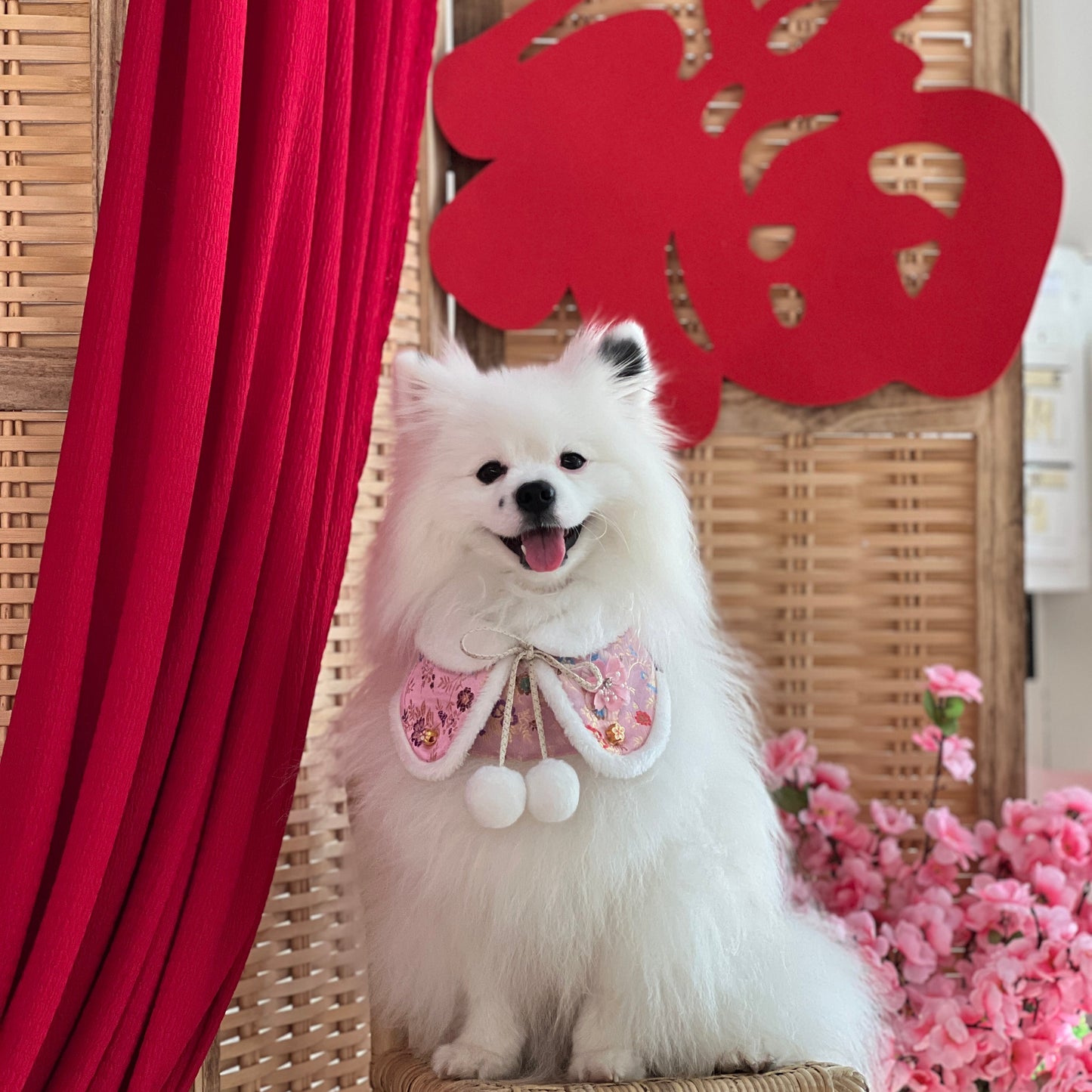 Greet | Pet Bib