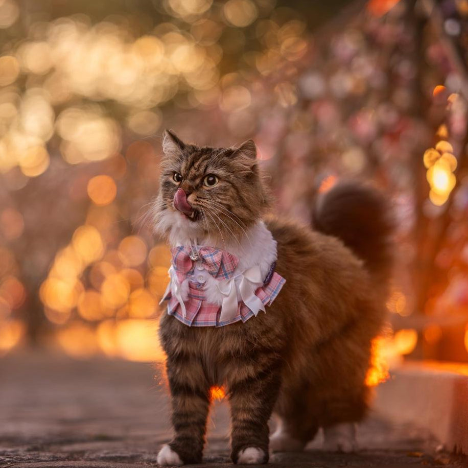 Mallory Girls | Pet Bib