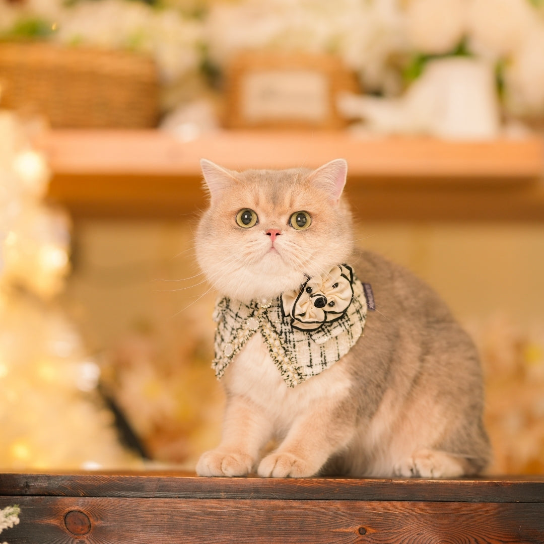 Montmartre | Pet Bib