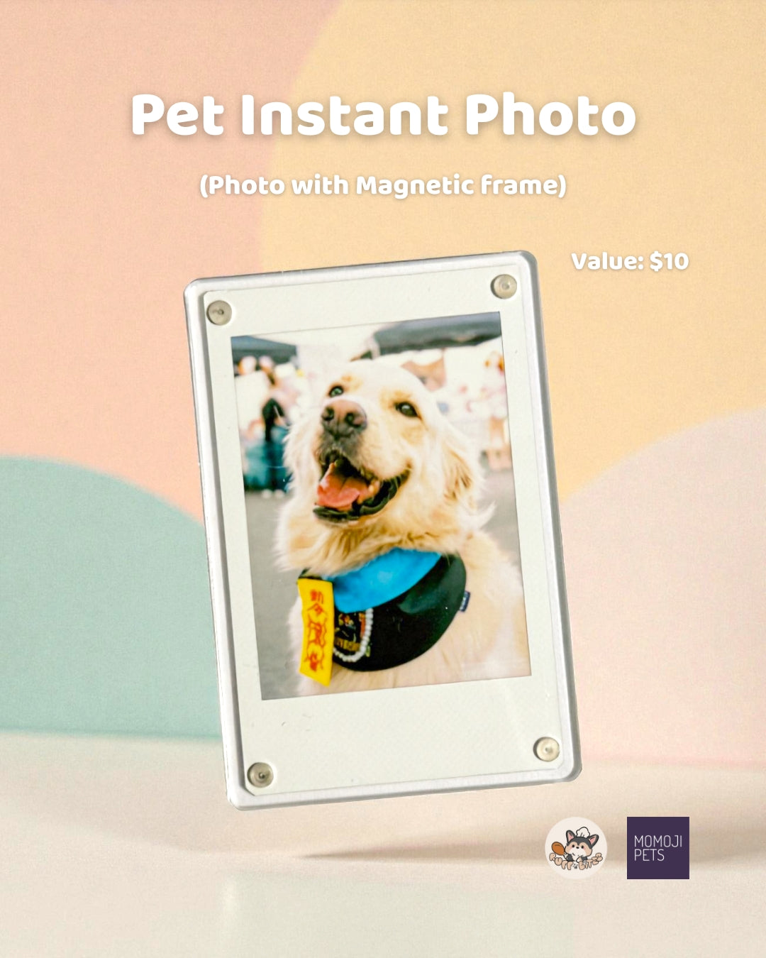 RUFFNBITES x MOMOJI Mystery Bag