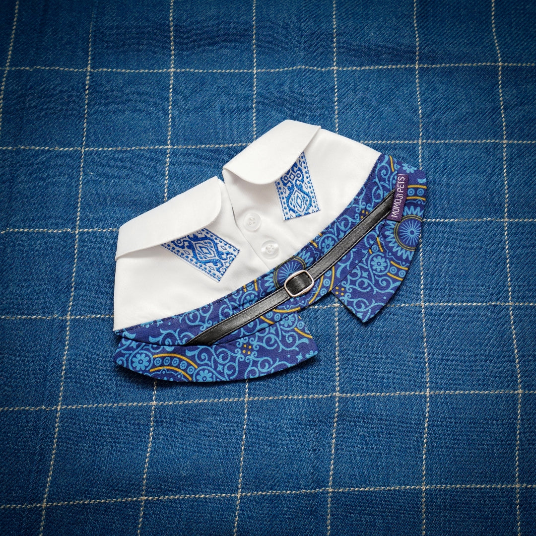 Apollo | Pet Bib