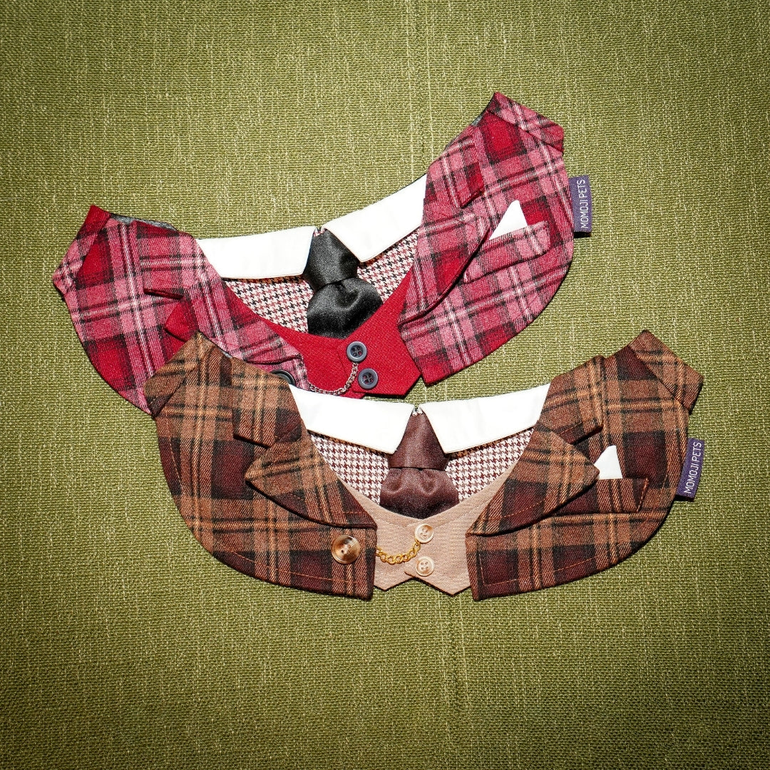 Phillip | Pet Bib