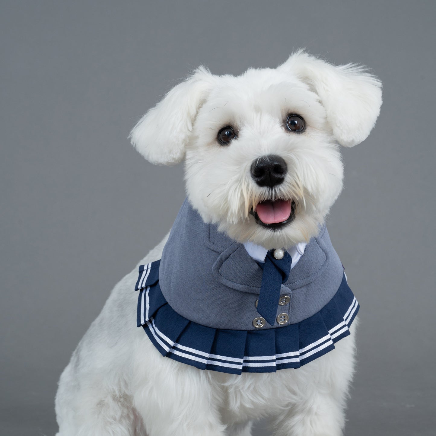 Josephine | Pet Bib