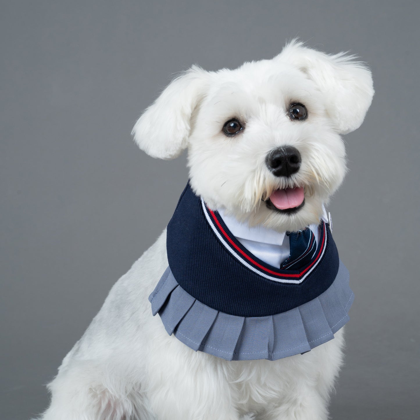 Stephy | Pet Bib